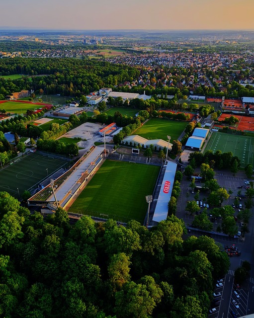 身体状况进 身体状况进