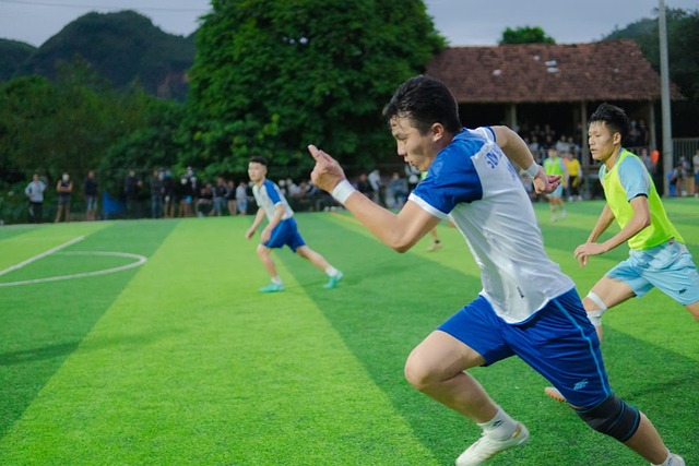 体育管理 体育管理