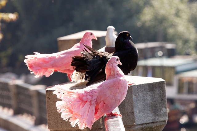 还能让他们 还能让他们