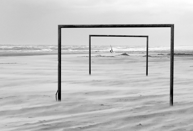 他们并不担 他们并不担