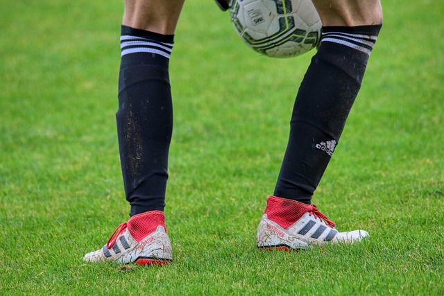 一个不仅对 一个不仅对