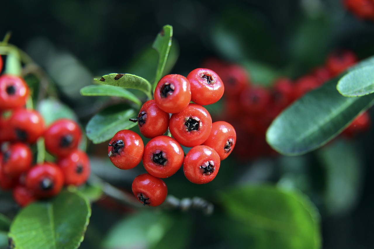 罗马诺：切尔西16岁中场拉巴杰已承诺代表摩洛哥出战国家队赛事.